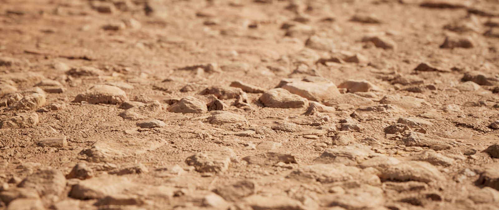 Desert ground surface close-up