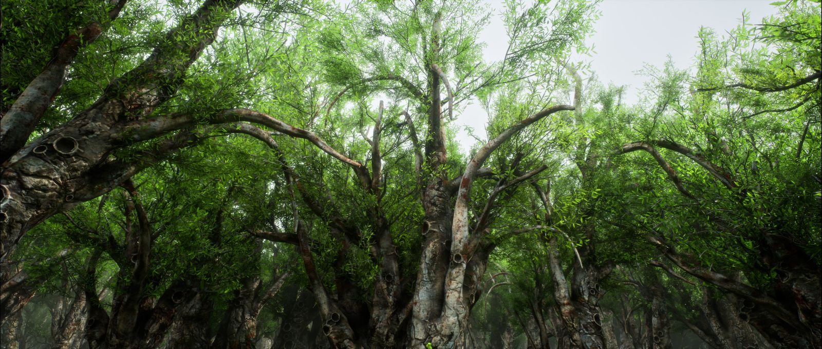 Forest biome placed by the PCG graph
