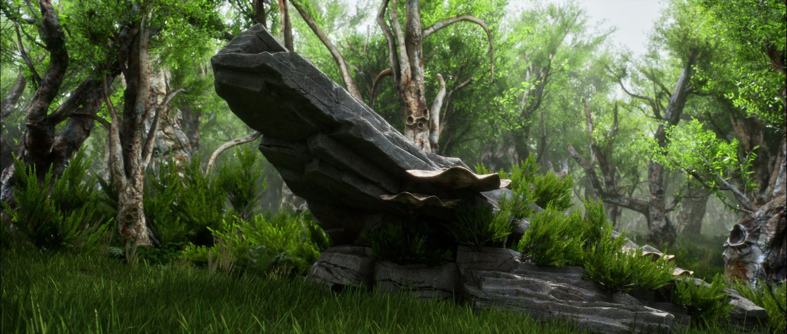 Hero stone formation with ferns